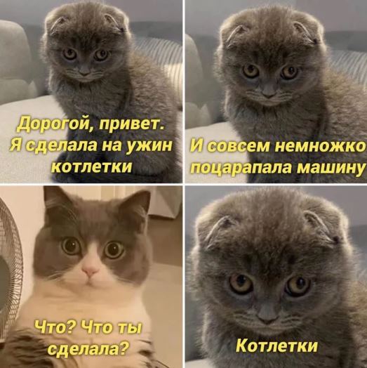 Зачем бабы вываливают сиськи?