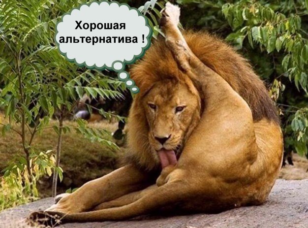 Когда нечего делать