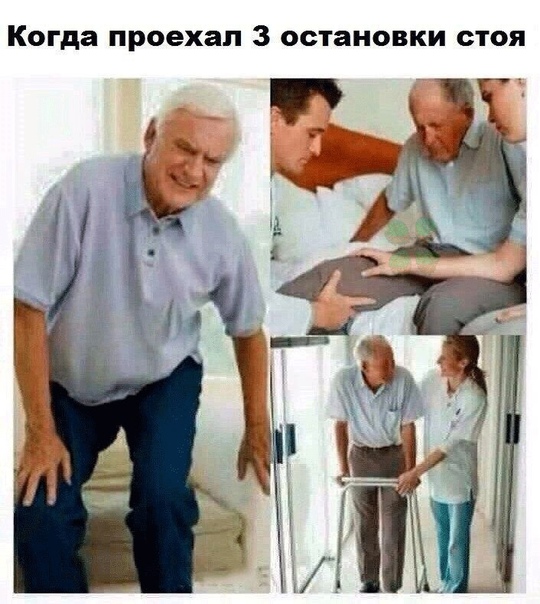 Весёлый полтишок 08.05.23