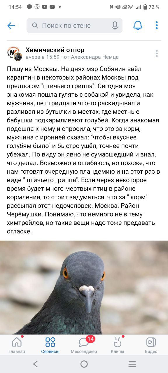 Сомнения постфактум: после окончания пандемии ВОЗ признала вред прививок от ковида