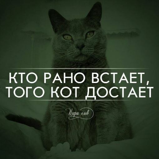 Для тех, кто считает коронавирус выдумкой