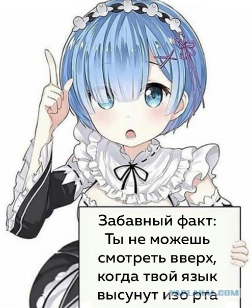 Набрел на склад баянов. Налетай