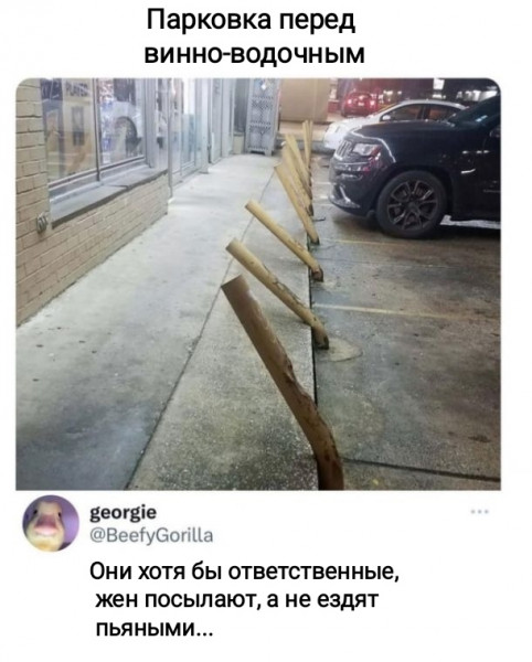 18806948.jpg