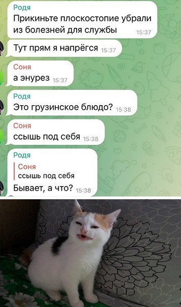 Кретинизмы из KV и KO 10-03-2024