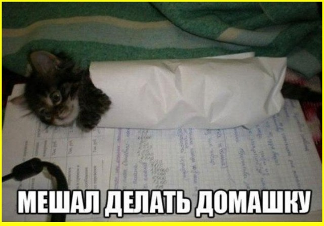 Тлидцать тли от 13 маЛта