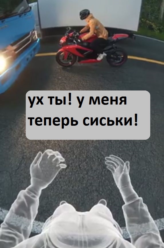 Погонял