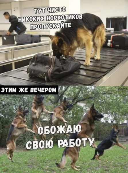 Отряд быстрого деградирования