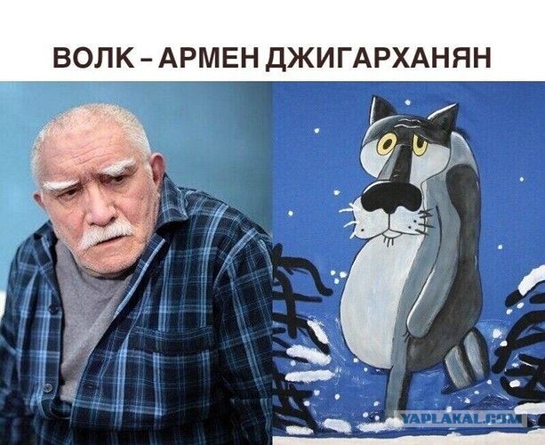 Шо, опять?