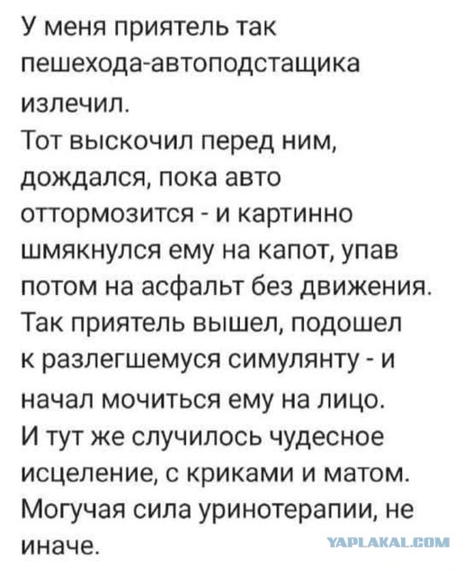 Веселые картинки в понедельник (23.12)