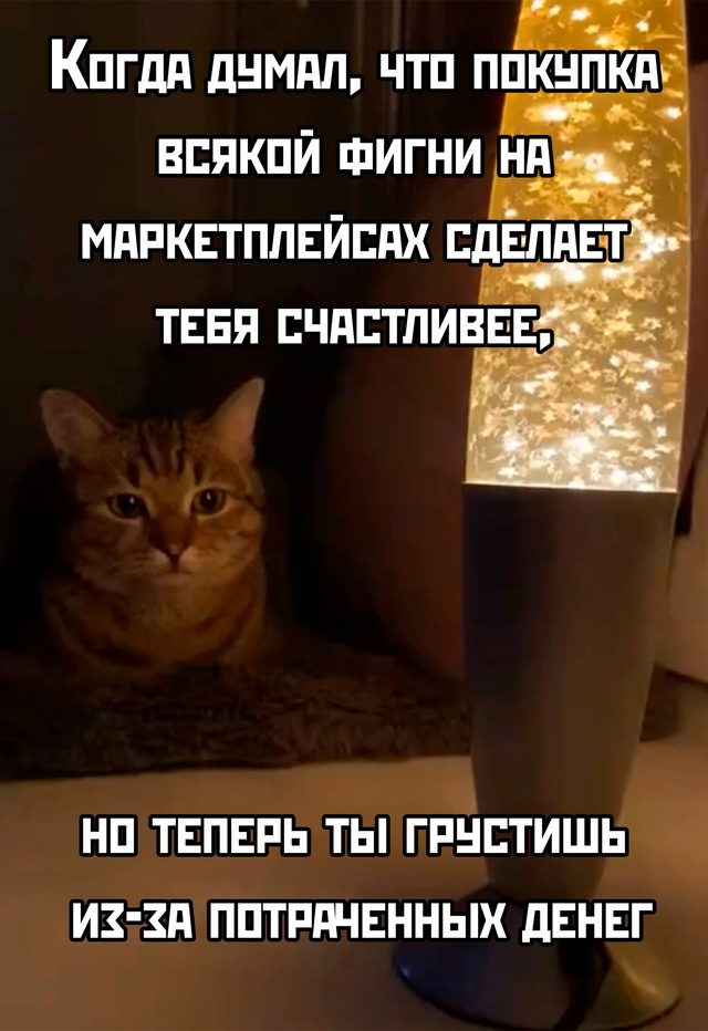 Весёлый полтишок 29.12.24