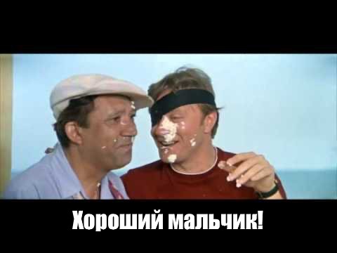 Пудель дискотечный!