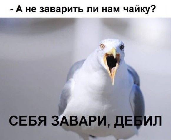 Картинки со стишками депресняшками - 9