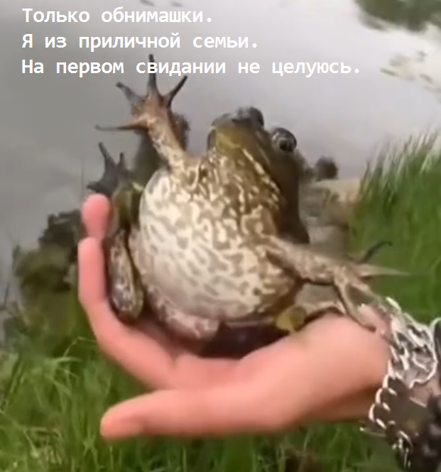 Завалялось тут случайно немного забавных картинок