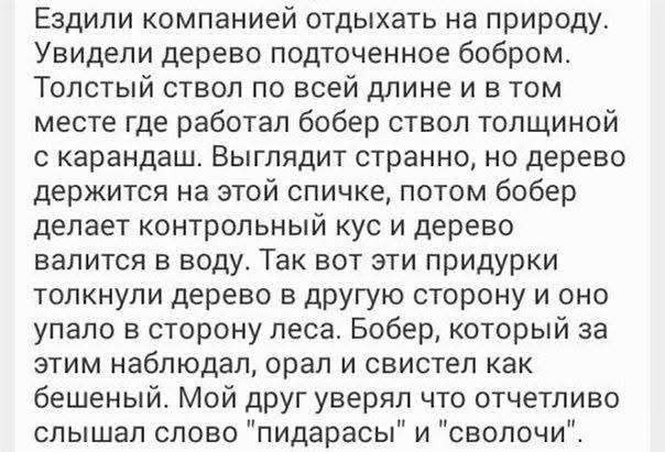 Народная меДИЧина 7030