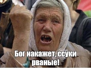 Депутат Заксобрания Свердловской области Вячеслав Вегнер предложил штрафовать за подкармливание бездомных собак