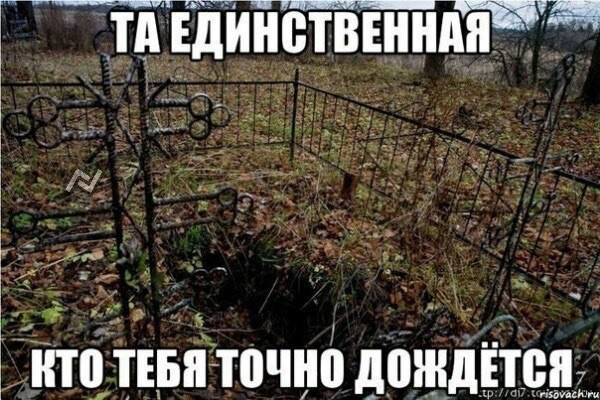 Так себе картинки 07.08.25