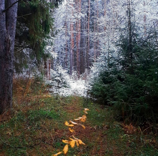 Так всякие картинки