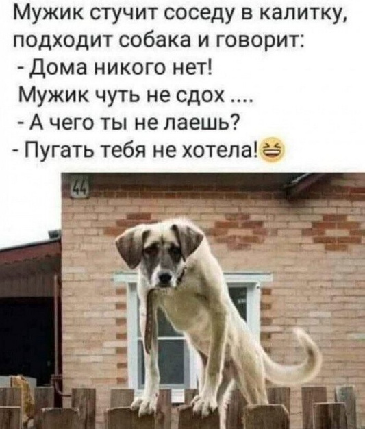 20482948.jpg