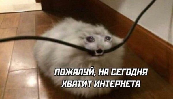 Казахстан игра в альчики