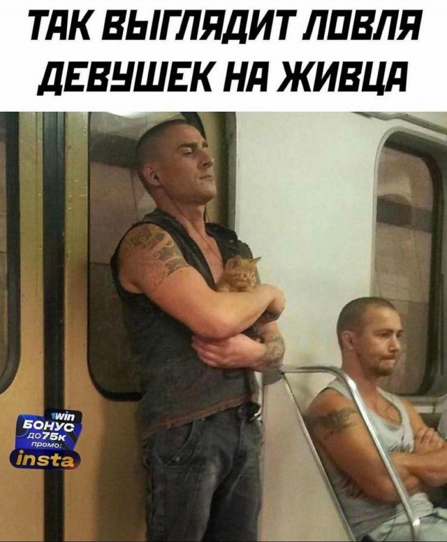К котовторнику: подборка картинок-баянов с котиками и про котиков. Выпуск 35.