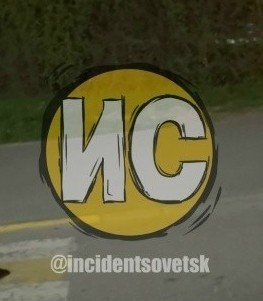 Русский бобр