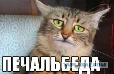 Пичалька, вкусняшка, овуляшка  и прочие "мимими"