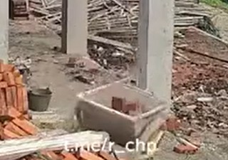 Биба и Боба