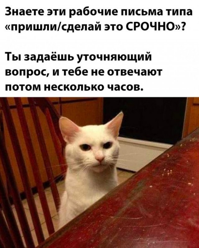 Веселые картинки в маленькую пятницу (15.07)