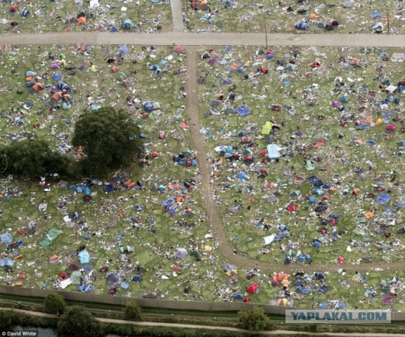 Тысячи брошенных палаток после фестиваля