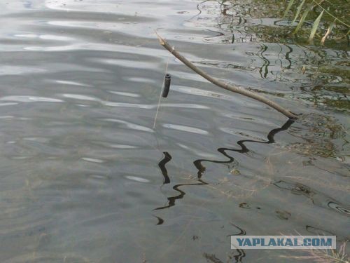 Брат поймал рыбку