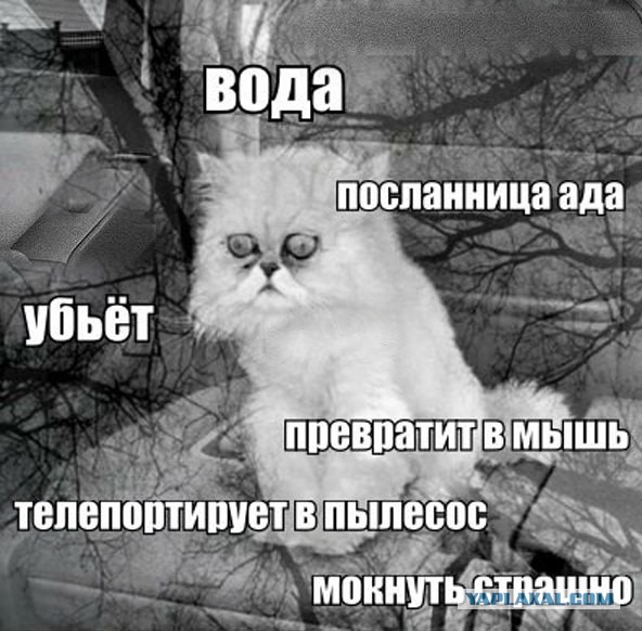Жизнеутверждающий псто