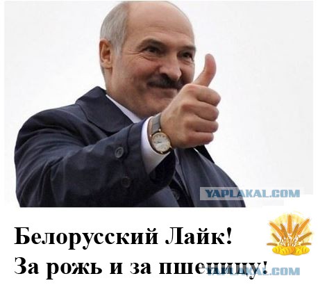 Welcome to Belarus на выходные