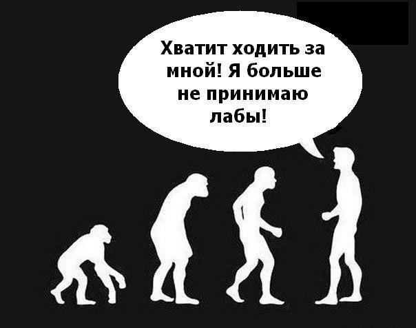 Смешные картинки из инета