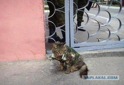 В Донецкой республике найден офицер ГРУ!