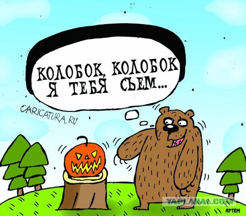 Медведи почти на все случаи жизни