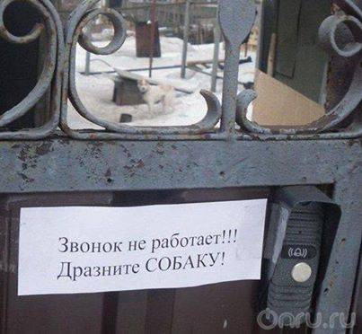 Пятница, картинки для поднятия настроения