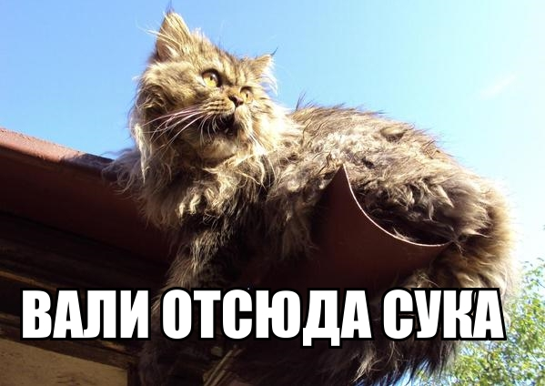 Во Внуково разбился частный самолет