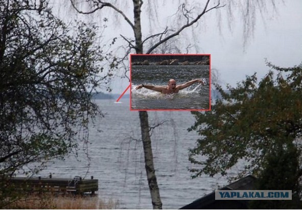 Едко, но метко..