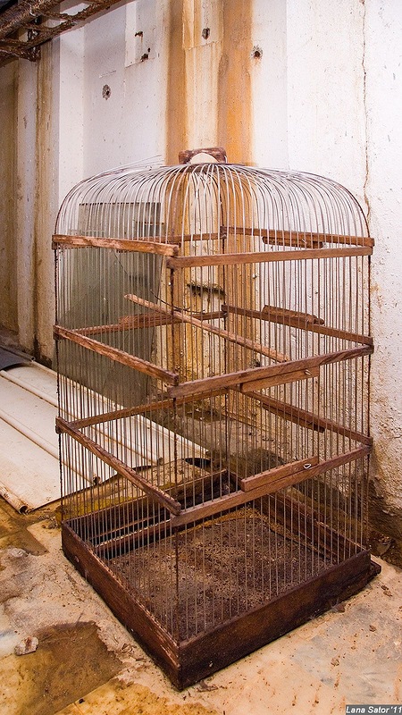 Заброшенный лизиметр