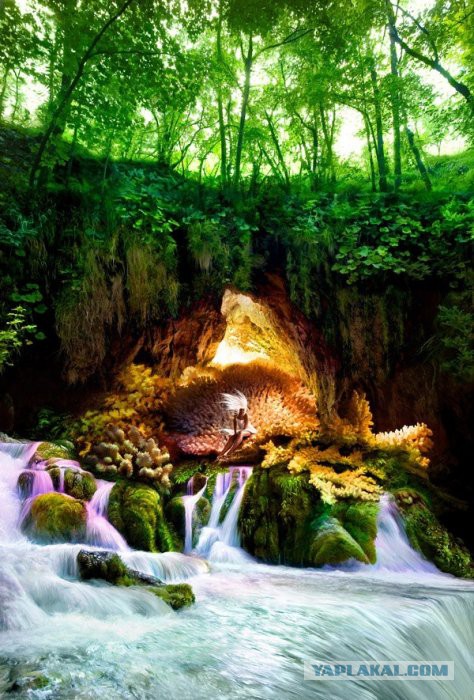 Весёлые картинки