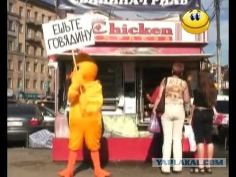 Травоядные совсем чокнулись.