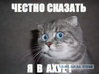 Сказка о нашей подлинной истории