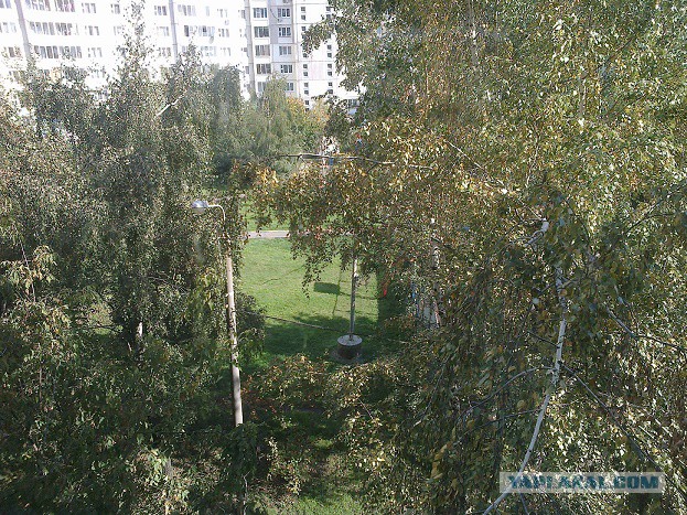 Сдам однушку в Москве. В ЮАО.