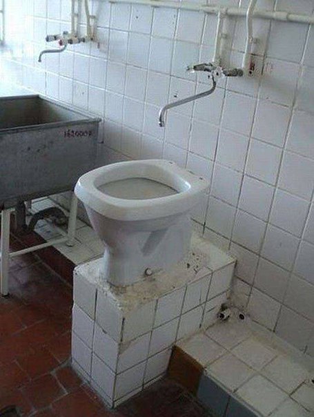Подборка прикольных фото на пятницу