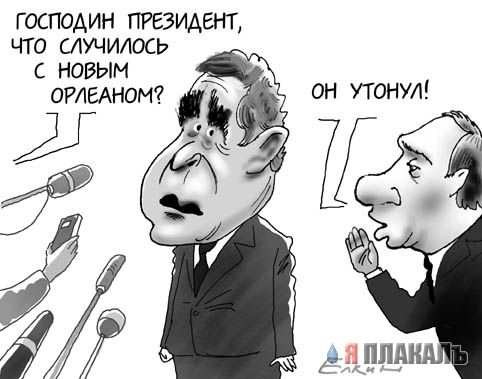 Все о БУШЕ