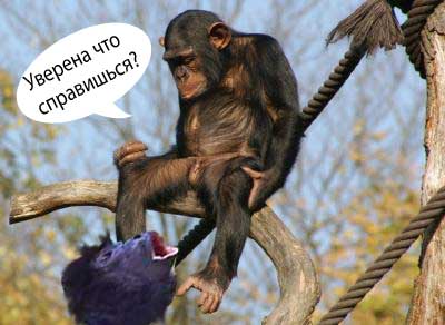 Грустный самец