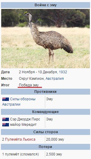 Отовсюду понемногу