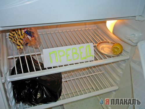Превед медвед!