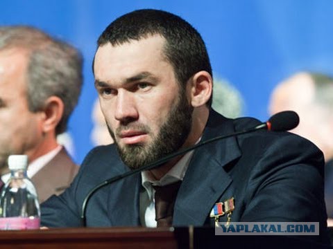 «Если бы не демократия»: моськи и овчарки Кадырова