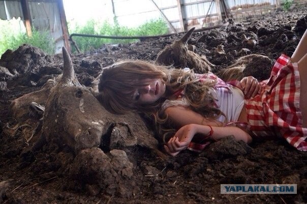 Ужасы и приколы из соцсетей 18+